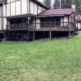 42 Backyard