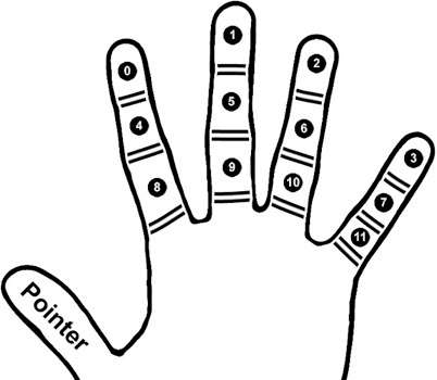 doz_palm_2
