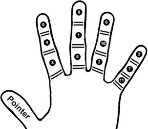 doz_palm_4